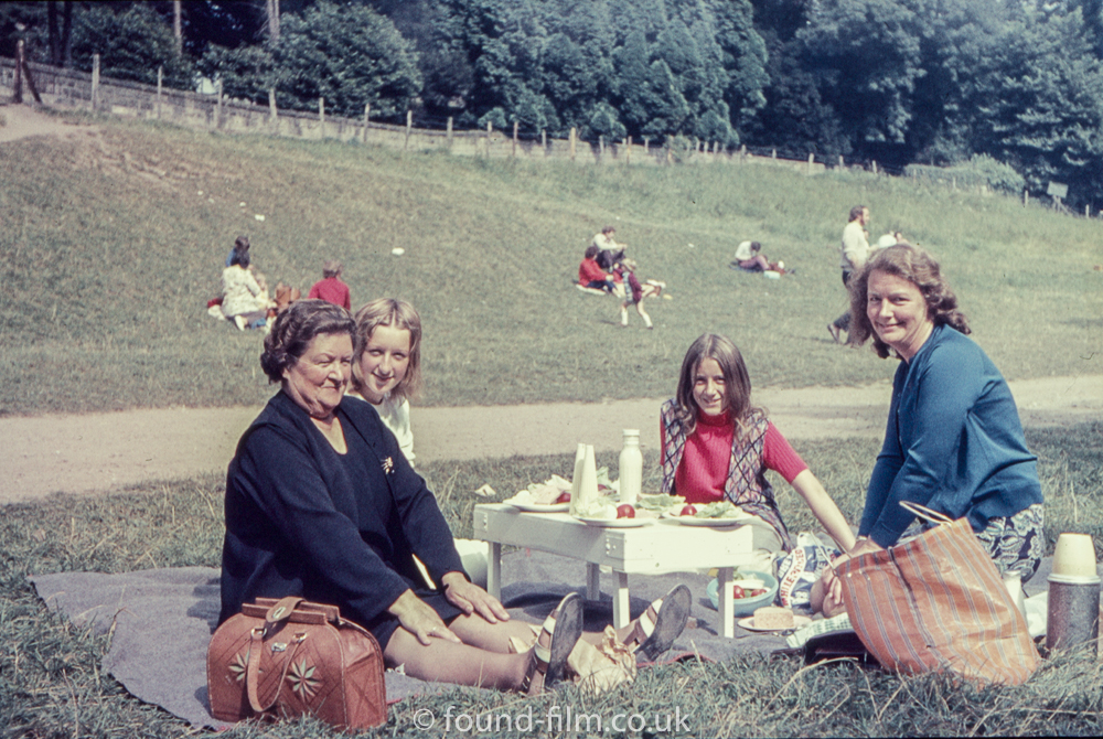 Family Picnic in the park