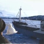 Standard 8 film of a Coastal Trip to Norway - Part 2