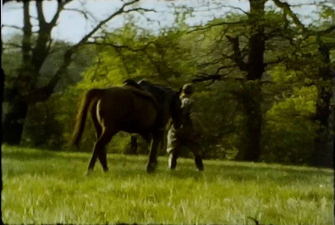 A still image from a vintage home movie of a group of people horse riding.