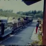 A screenshot from a vintage home movie taken at a trip to a Zoo in the 1970s