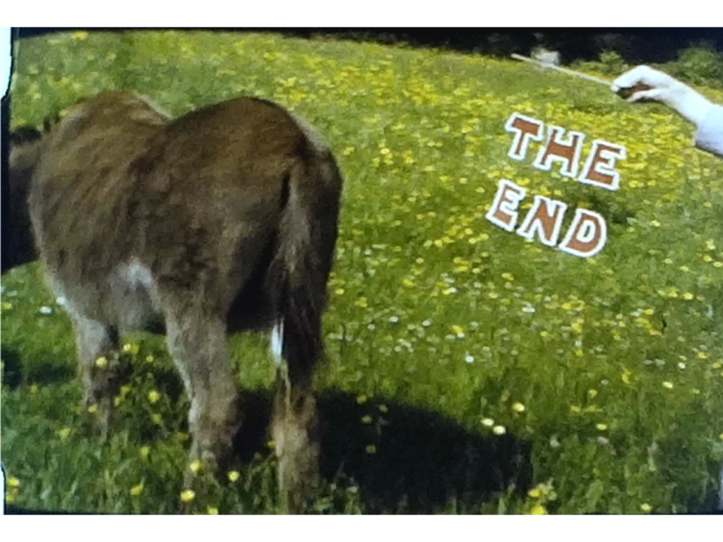 the end of the film 1