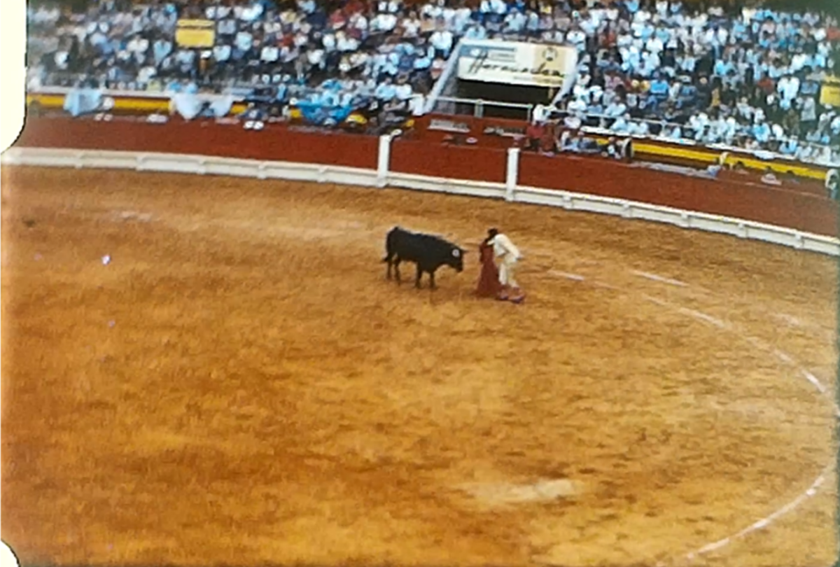 A still image from a vintage home movie taken during a bull fight in a Spanish town in about 1970