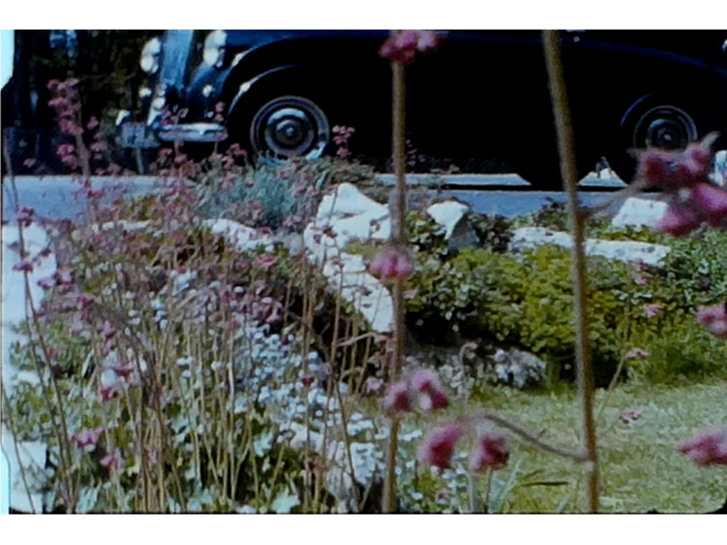 Car in Background 1 1