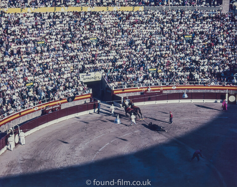 A bull being dragged from a bull ring in about 1960.