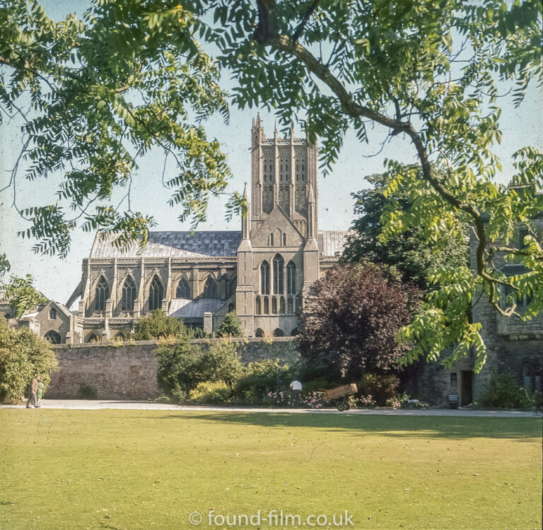 A Church framed by Trees