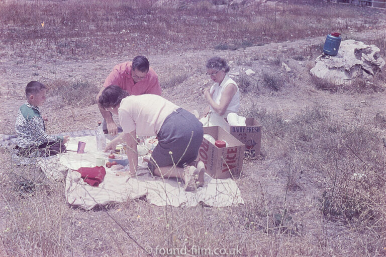 Family Picnic in the park