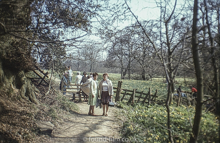 Family walk in the countryside in 1984