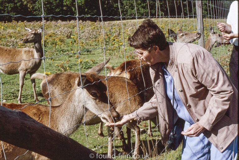 Feeding animals