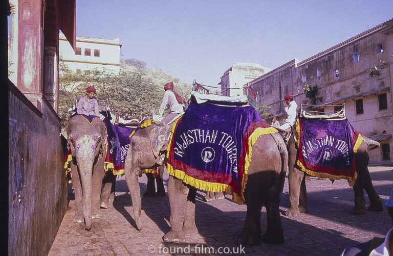 Elephants in the Plocken Pass