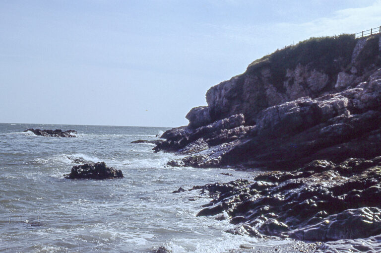 A rocky coastline