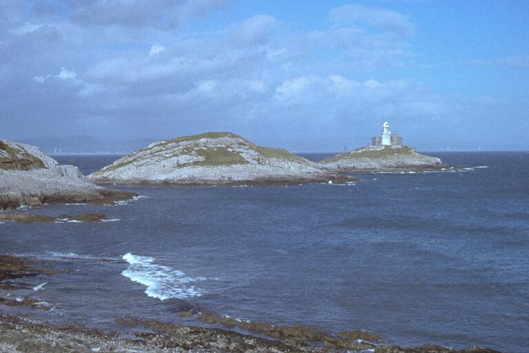 The Lighthouse