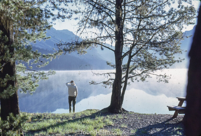 Looking over a lake in the morning sunshine