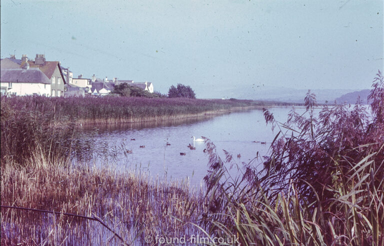 Marshland