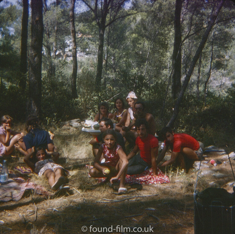 Picnic in Woods