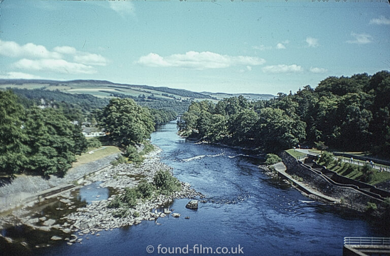 Photo of a River and forest