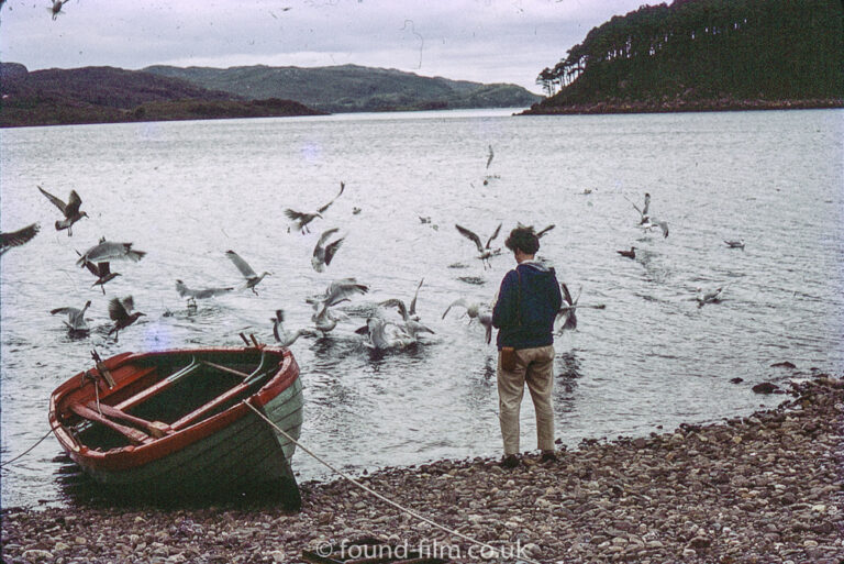 Man feeding birds at the water’s edge in Shieldaig, September 1966