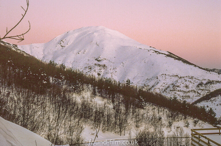 Snowy mountain and forest