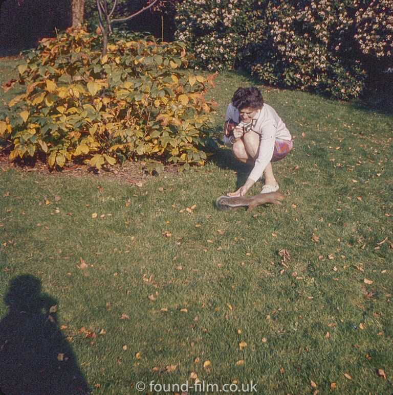 Squirrel in the garden