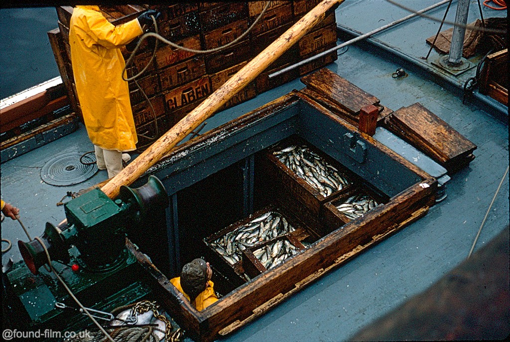 unloading fish in ullapool in 1967