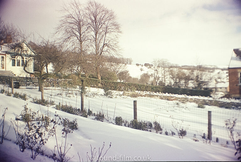 Winter Garden in the snow