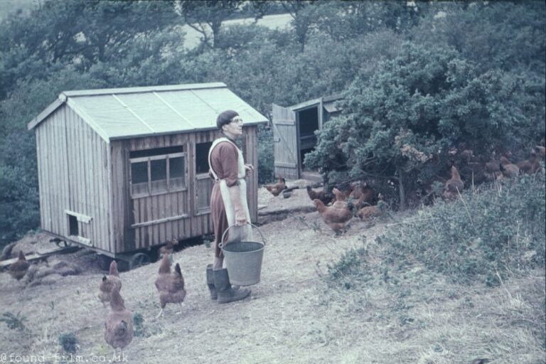 Woman looking after chickens c1955