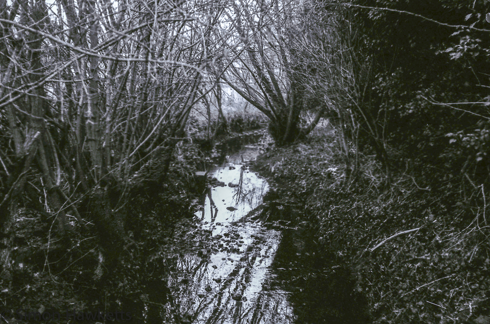 Yashica MG-1 sample pictures - A stream in Stevenage