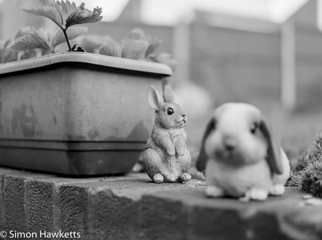 bronica etrsi two rabbits