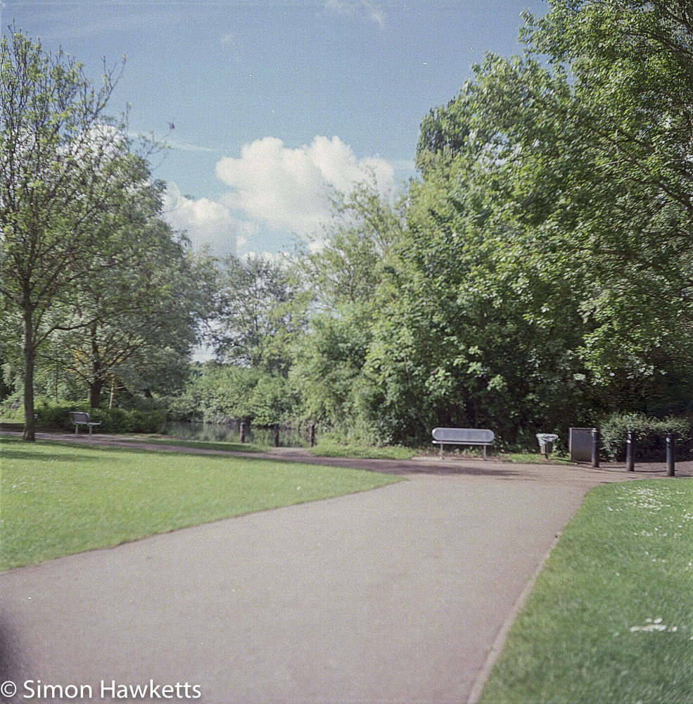 ciro flex tlr sample pictures one of the paths in fairlands