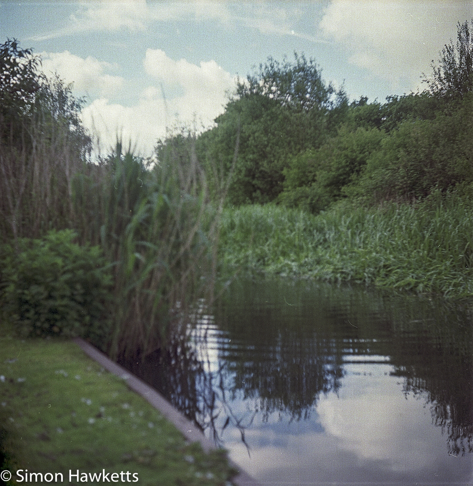 ciro flex tlr sample pictures the duck pond