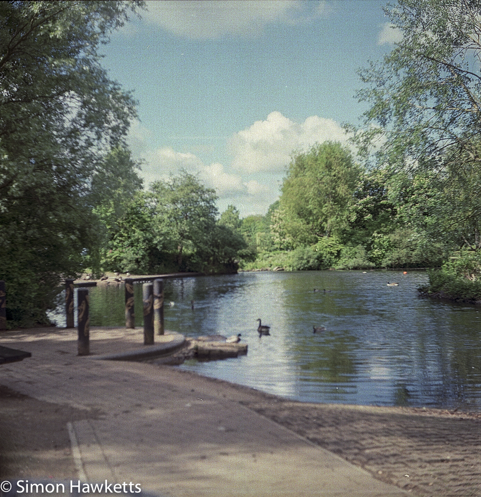 ciro flex tlr sample pictures the wildlife pond in fairlands