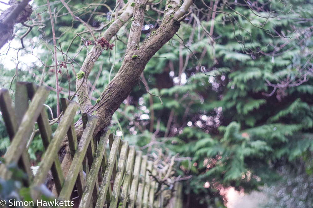 Mamiya-Sekor 50mm f/2.0 on Fuji X-T1 - Garden Fence