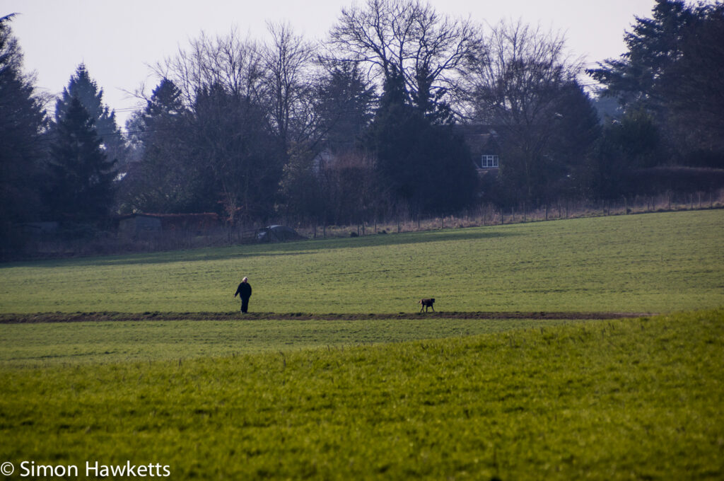 Optomax 300mm f/5.6 sample pictures - Lady walking her dog