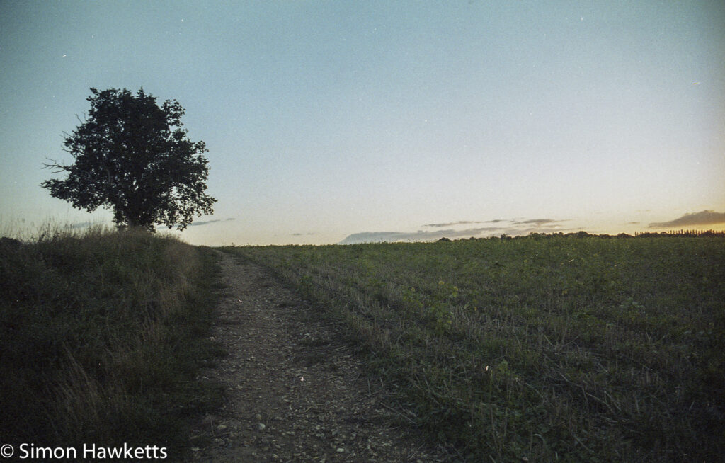 Pentax Z-1p sample picture - Path at dusk