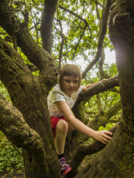ricoh gxr with s10 lens little girl climbing a tree
