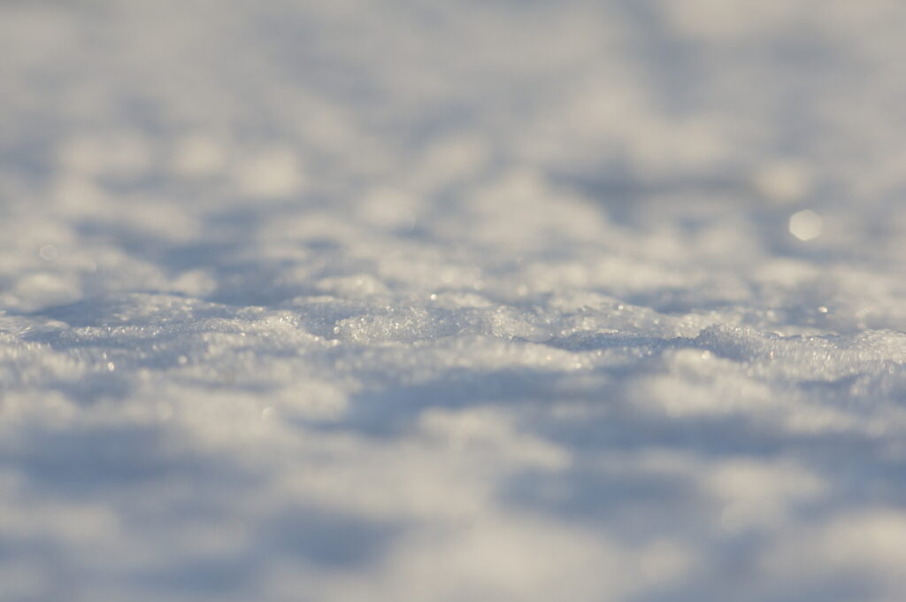 sigma 100 200 zoom k sample jpeg snow in macro mode