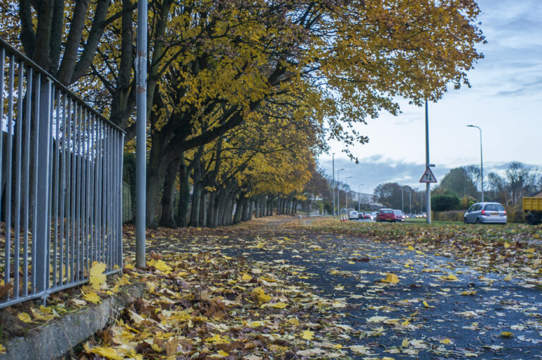 Topcon UV topcor 28mm f/4 on Sony Nex - Trees, sky and cars