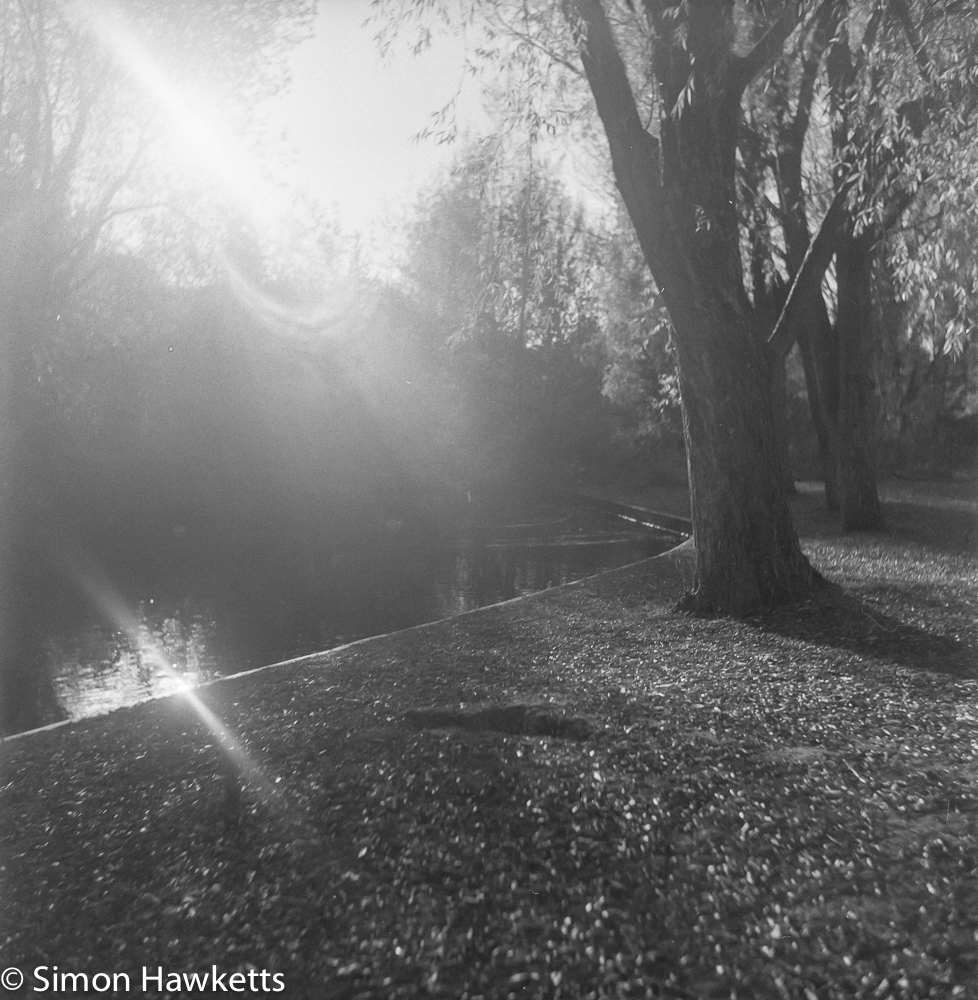 Weltaflex TLR camera sample pictures - into the sun