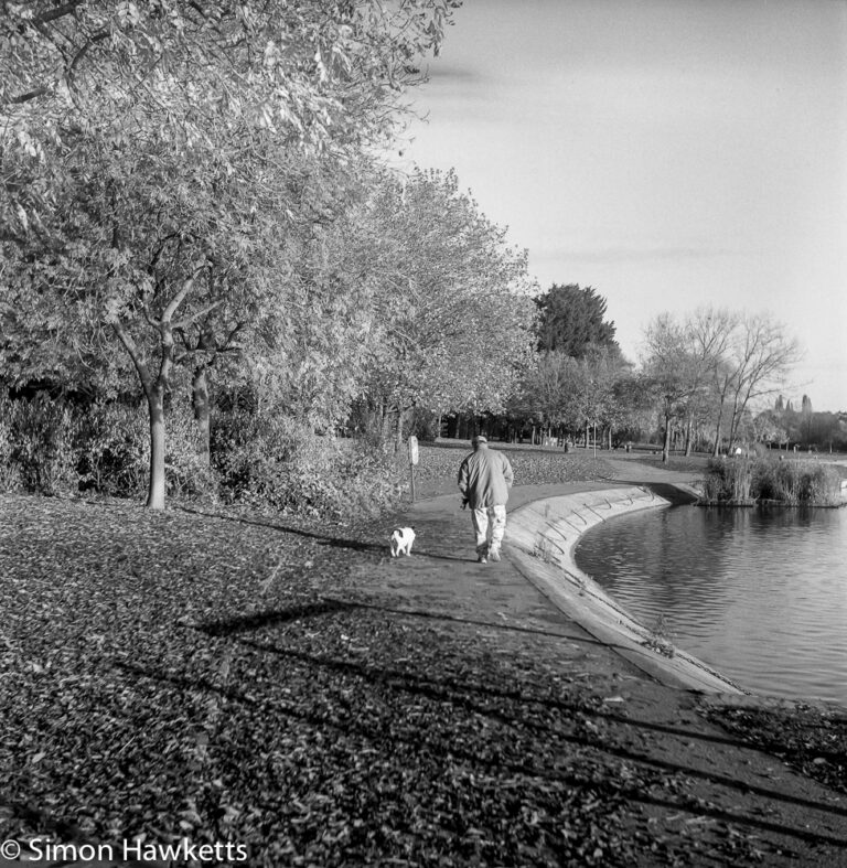 Weltaflex TLR camera sample pictures - man walking his dog