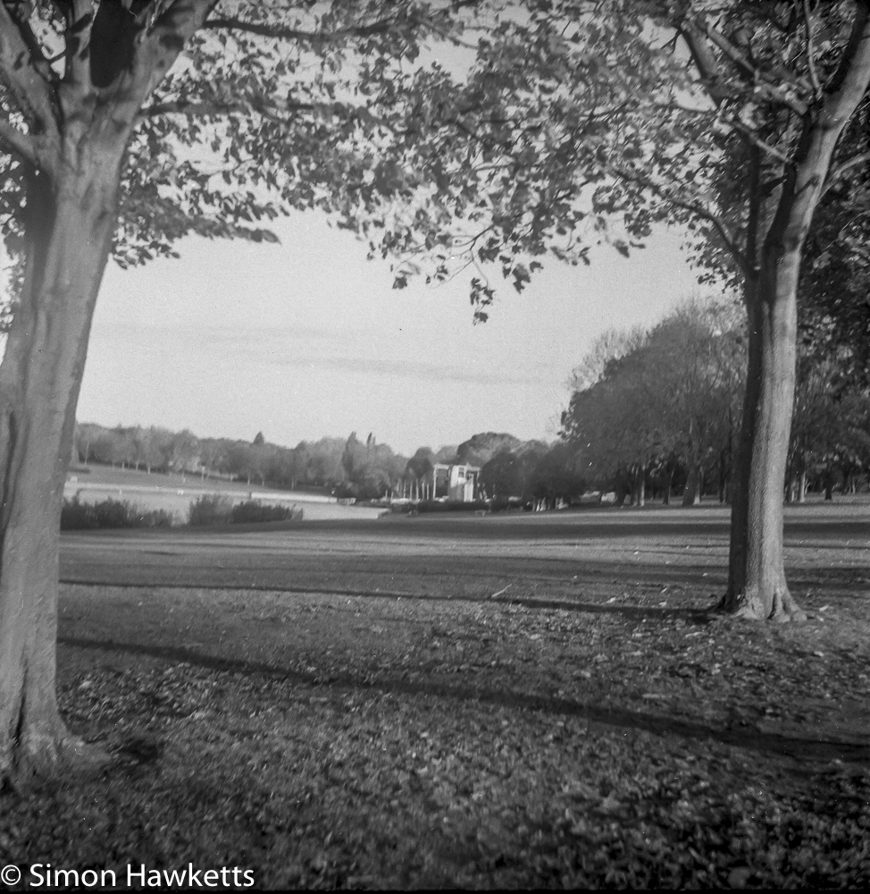 Weltaflex TLR camera sample pictures - two trees at Fairlands