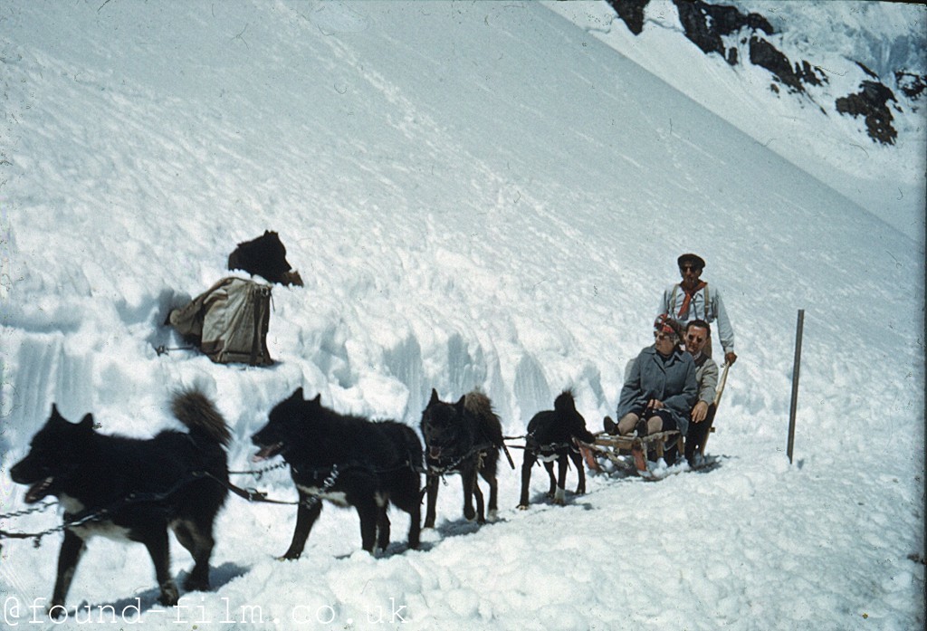 Dog sled at Jungfrau