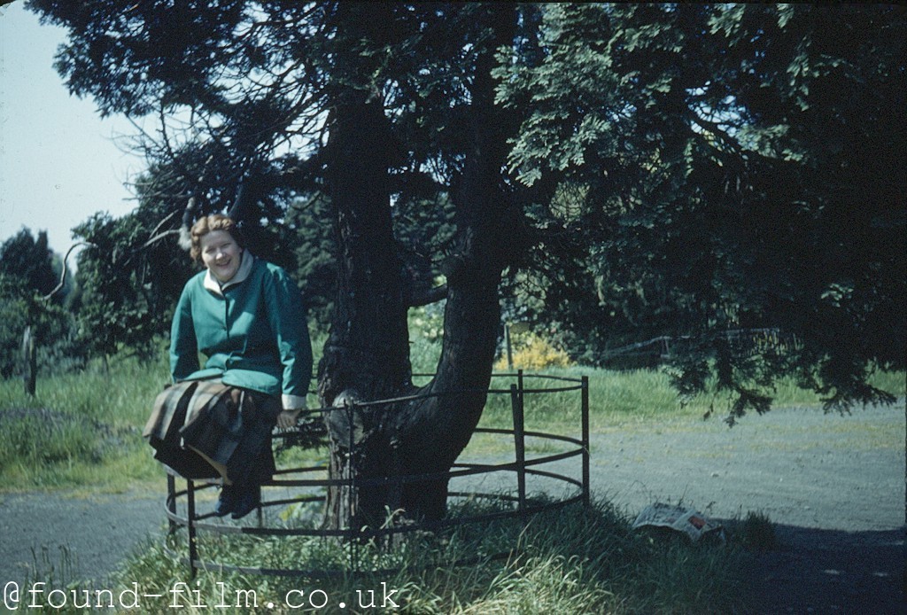 Woman sitting on a tree protector