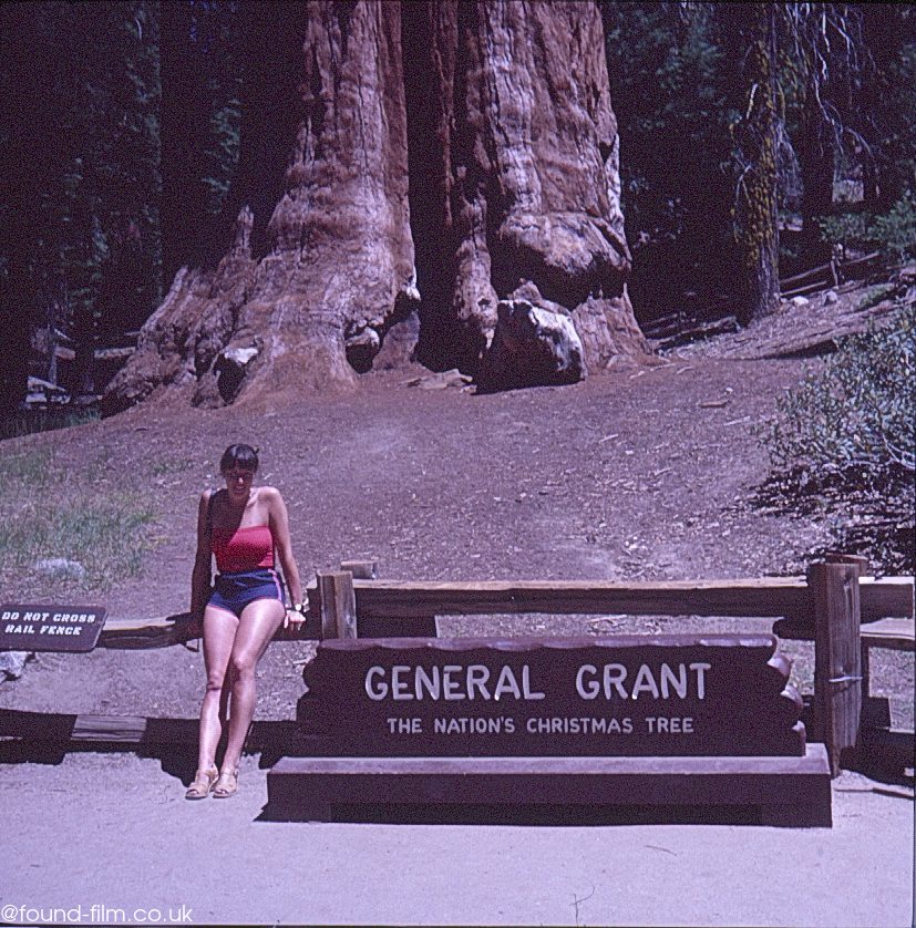 A woman posing by the General Grant tree